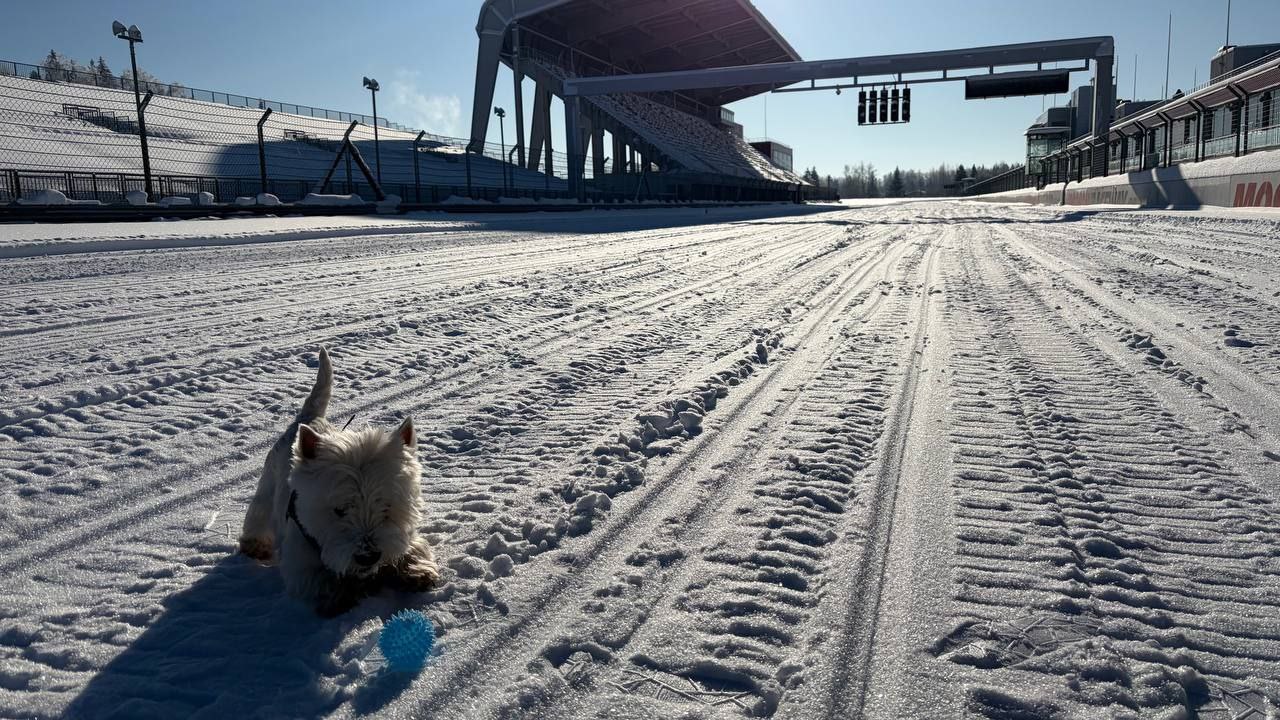Суперпёс Астон напоминает, что завтра мы ждём всех на лыжной гонке Moscow Raceway!