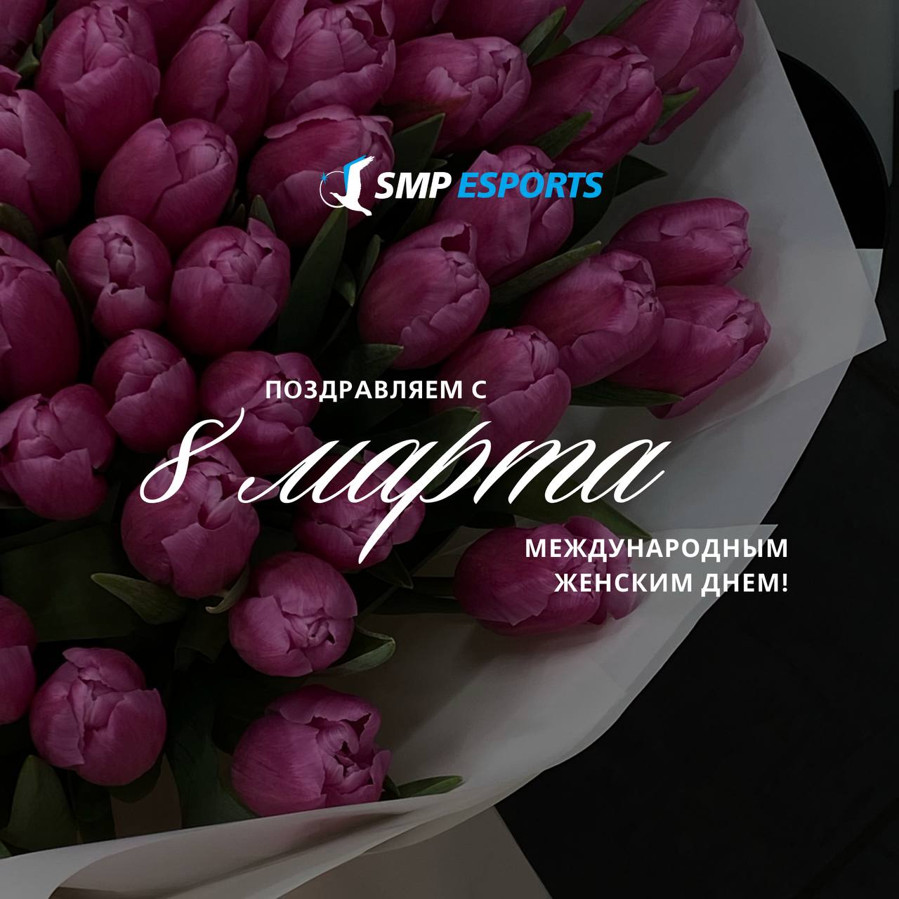 Команда SMP Esports поздравляет вас с праздником 8 Марта! 🌷