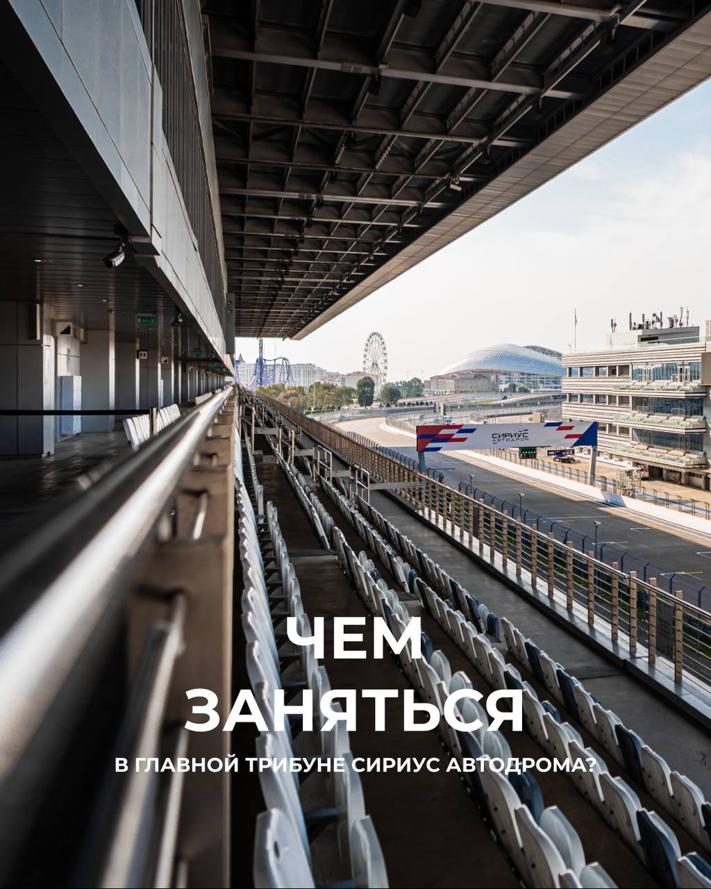 Не знаете, чем заняться в Главной трибуне?