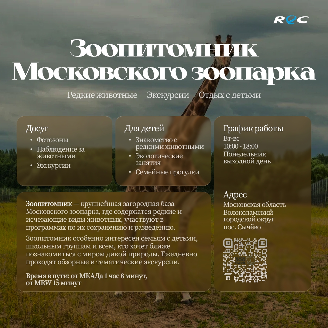 Russian Endurance Challenge: анонс выходного на Moscow Raceway
