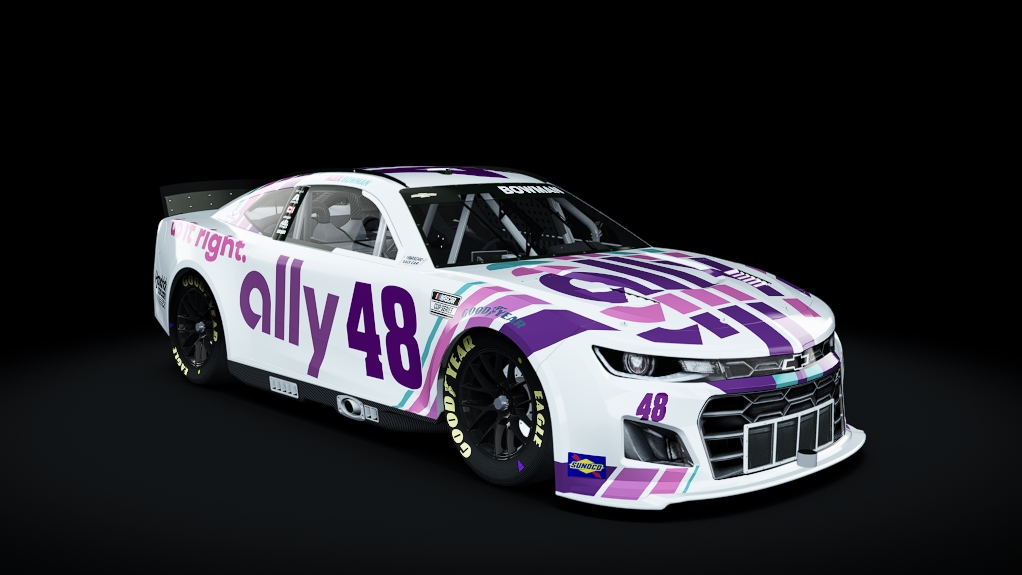 48_Ally Do It Right