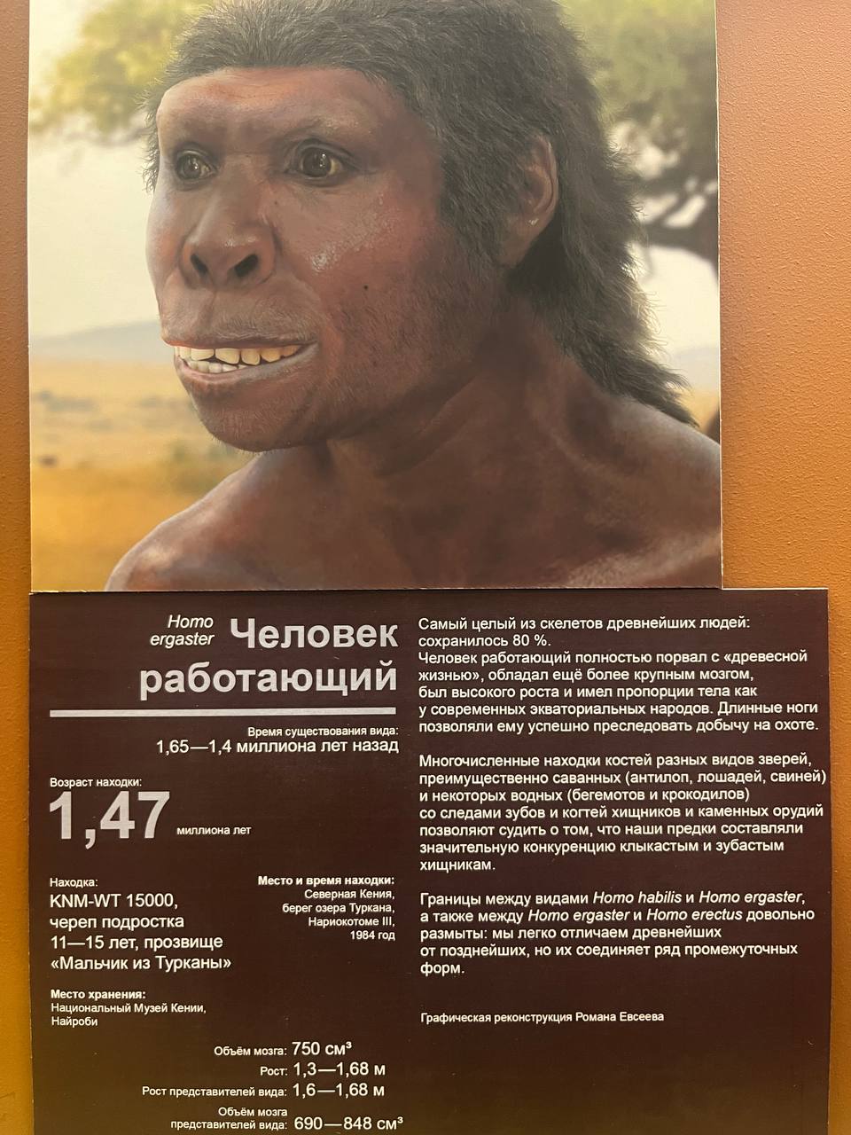 музей